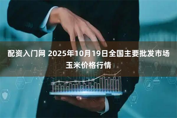 配资入门网 2025年10月19日全国主要批发市场玉米价格行情